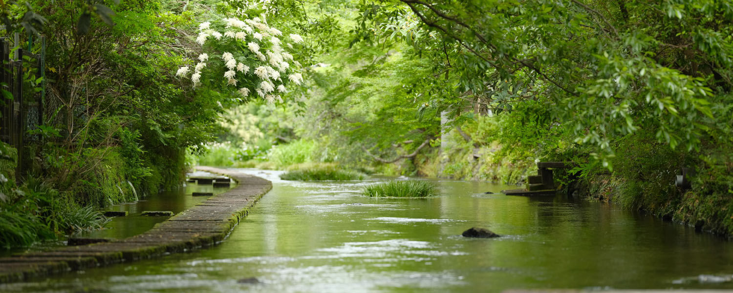 Calm and clear waters of Genbe River surrounded by greenery