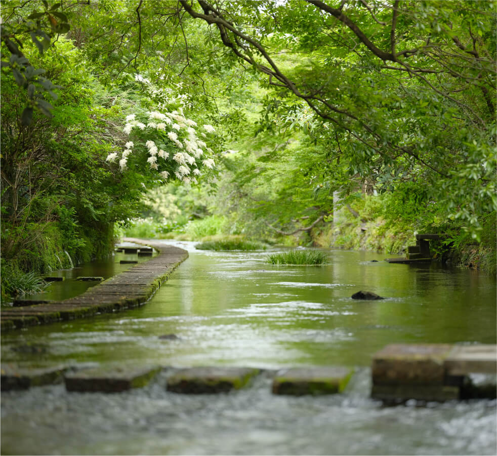 Calm and clear waters of Genbe River surrounded by greenery