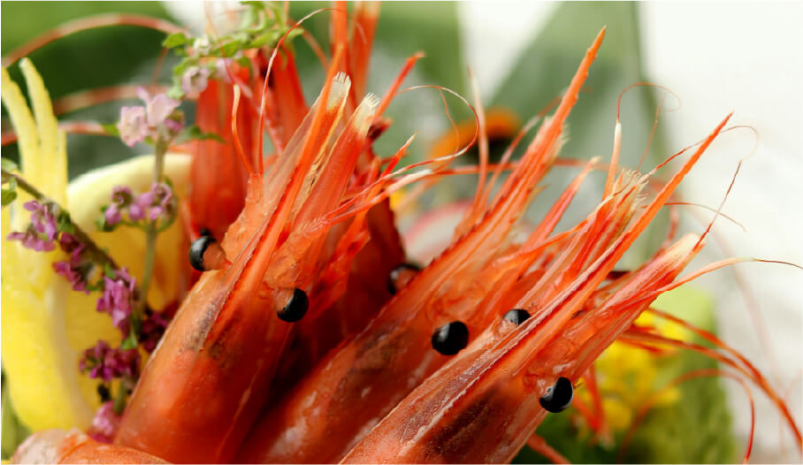 Beautiful sashimi, sweet shrimp (Amaebi)