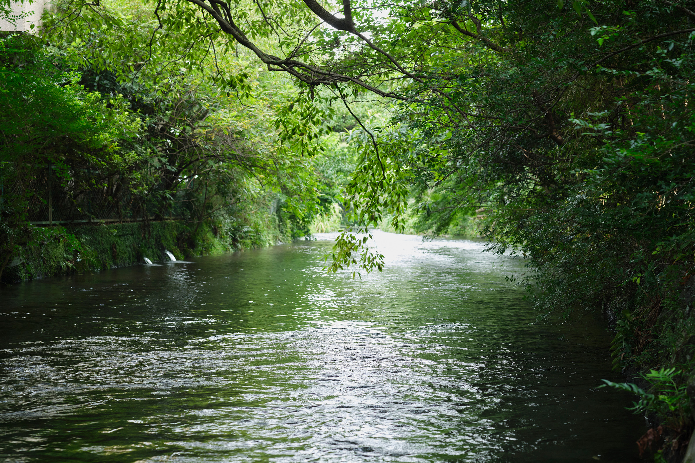 Genbe River boasts abundant spring water from Mt. Fuji