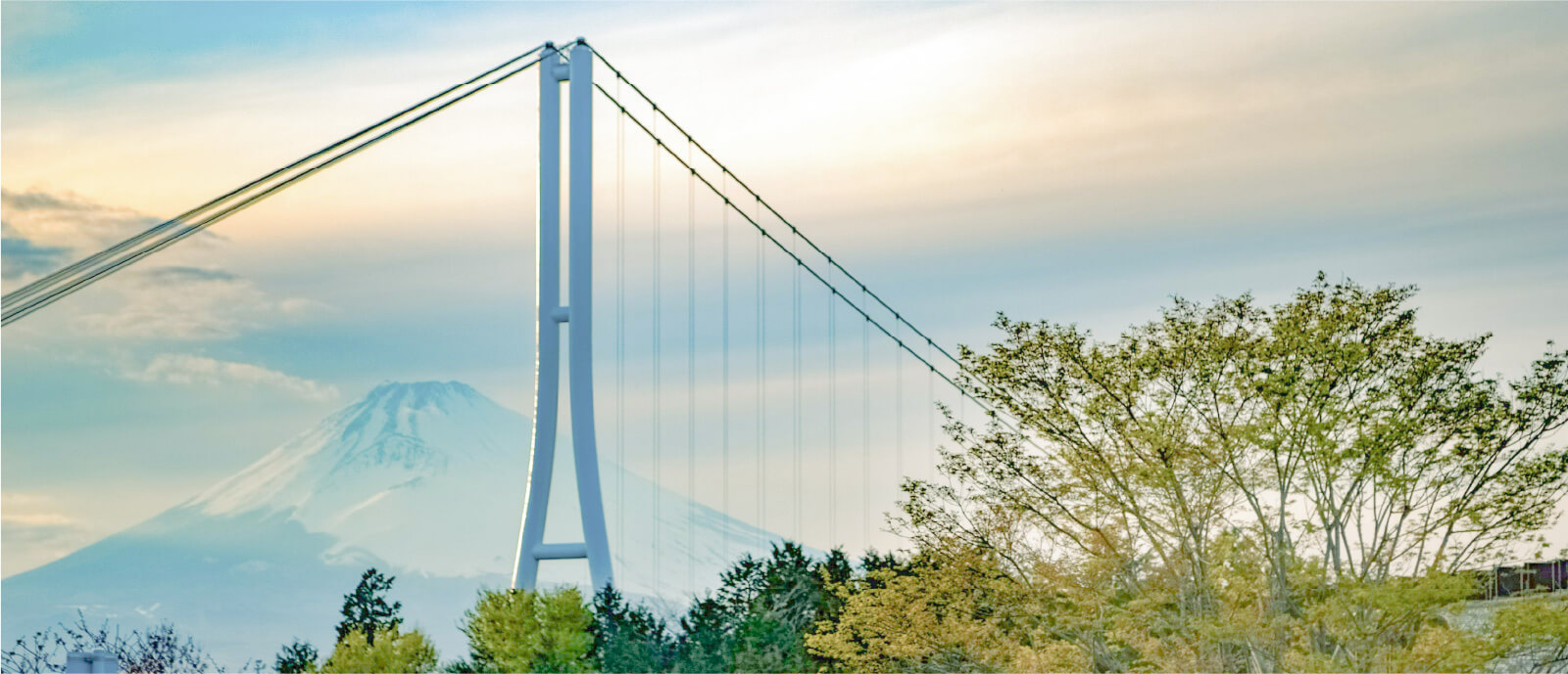 A scenic view of Mishima Skywalk with Mt. Fuji in the background