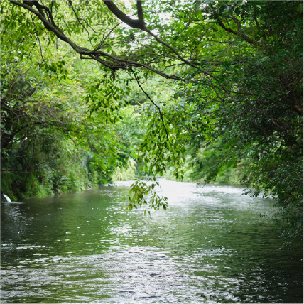 Genbe River sparkles with greenery and abundant water