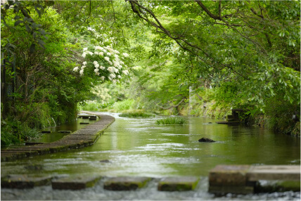 The surface of the Genbe River sparkles in shades of green